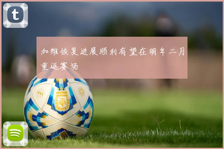 加维恢复进展顺利有望在明年二月重返赛场
