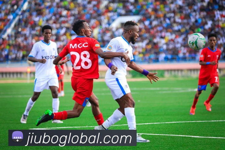 九博国际品牌故事