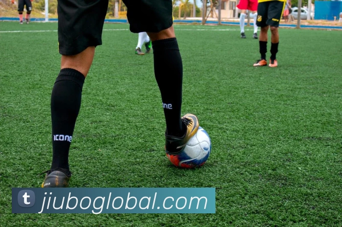 九博国际服务体系